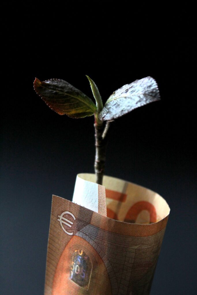 tiny tree growing out of a curled-up 50-euro bill