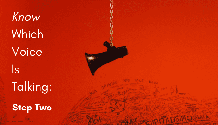 black megaphone hanging over a black scribble of words like opinion and capitalism (in Portuguese) on a red background with the words in white at the left: Know Which Voice is Talking: Step One.
