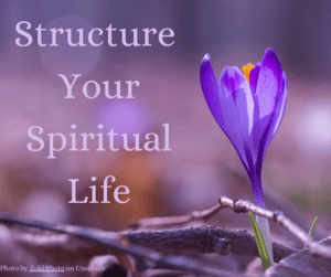 a crocus emerging from the ground, text on image: Structure your spiritual life.