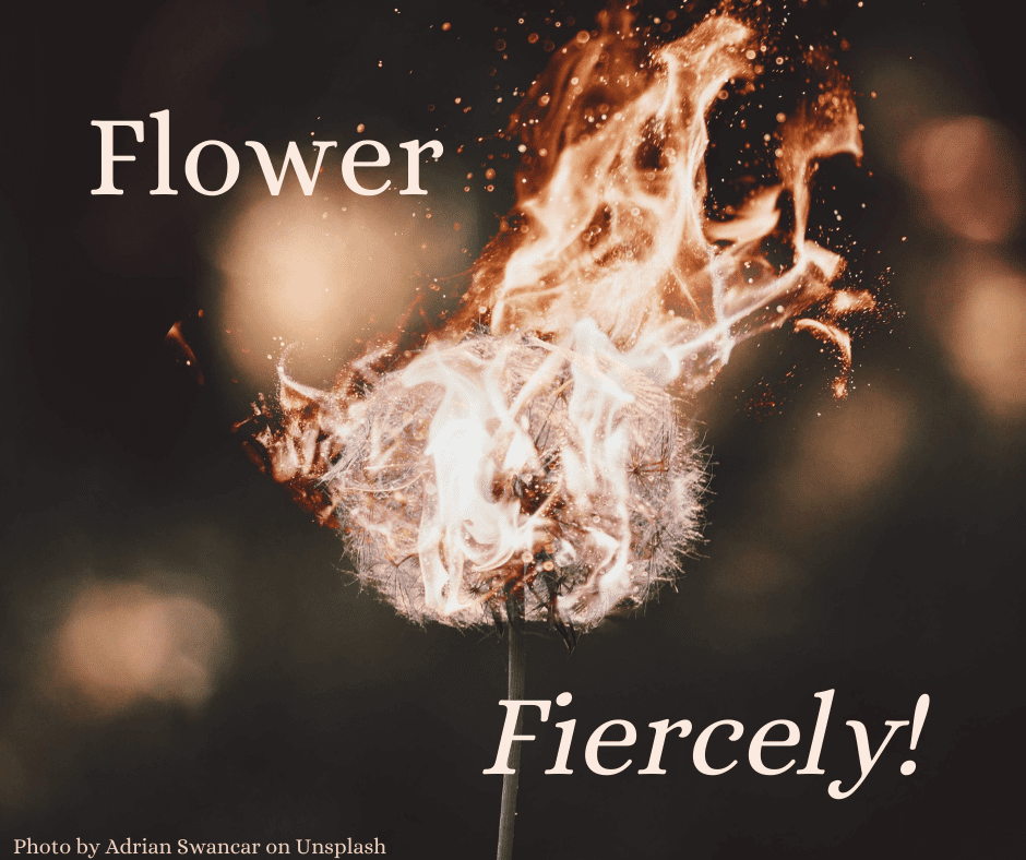 Flowering fiercely is like this simple dandelion blossom made electric by its own energy, focus, and protection!