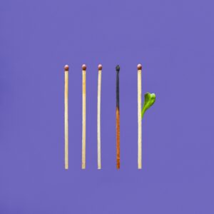 RAISING CLARITY heals burnout, job-changers. Image by Tangerine Newt shows five wooden kitchen matches. The fourth from left is burned to a crisp. The fifth from left has a tiny green leaf growing out of it. Nothing else, on a deep lavender background.